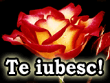 live like