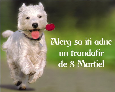 se incarca