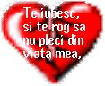 i love this world
